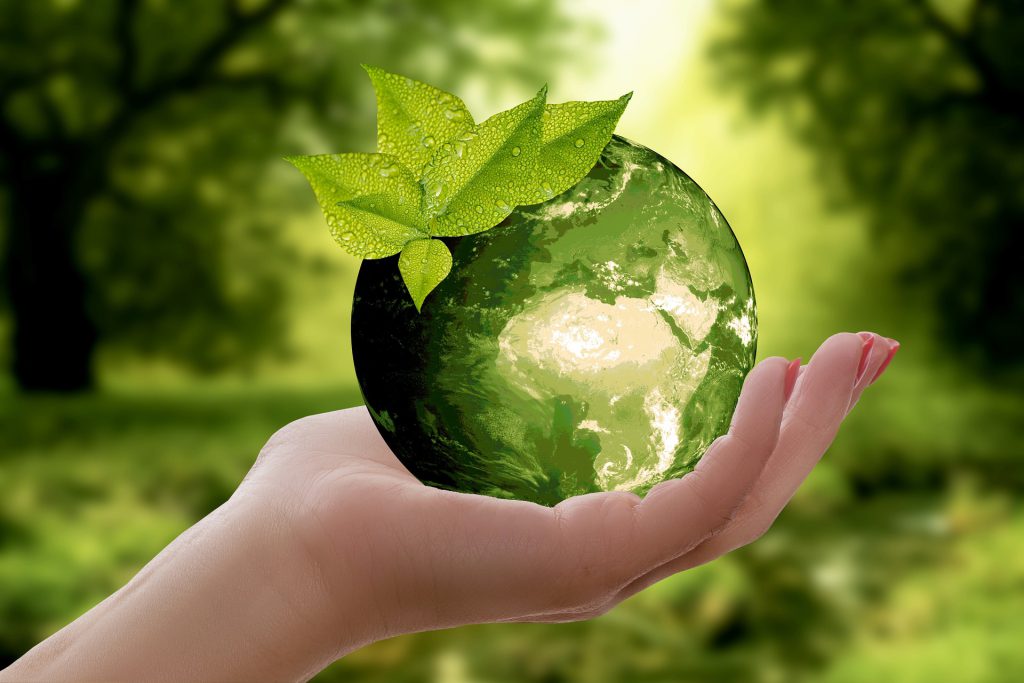 Ecologie